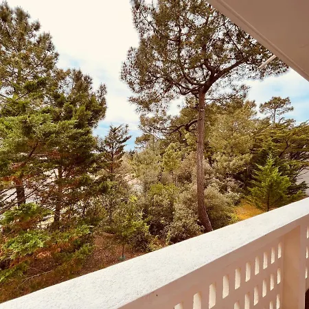 Pinede Et Ocean *